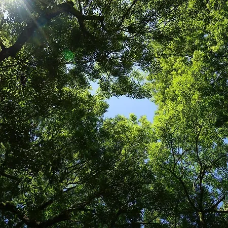 ベッド・アンド・ブレックファスト Bocage Belle Histoire