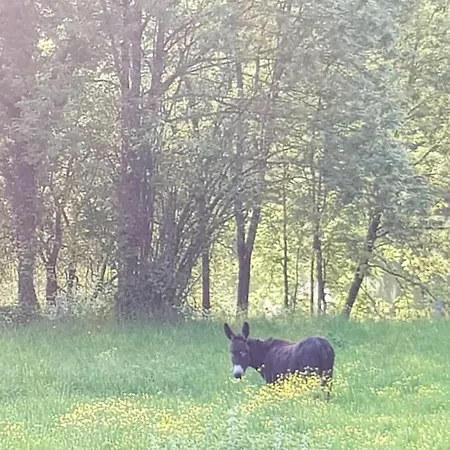 Frühstückspension Bocage Belle Histoire *