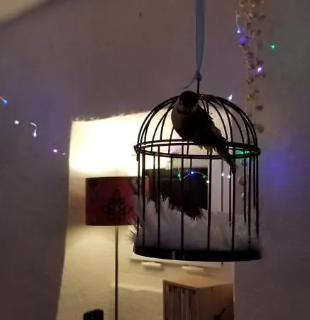 ベッド・アンド・ブレックファスト Bocage Belle Histoire 3*